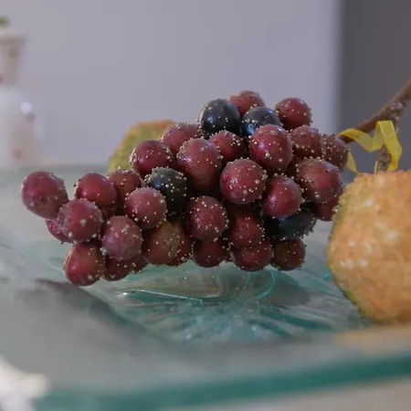 Casa Elisabetta Corfu Κυνοπιάστες