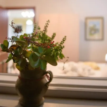 Casa Elisabetta Corfu * Kynopiástai